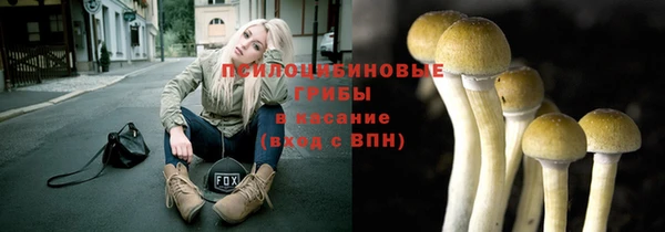 прущая мука Новодвинск