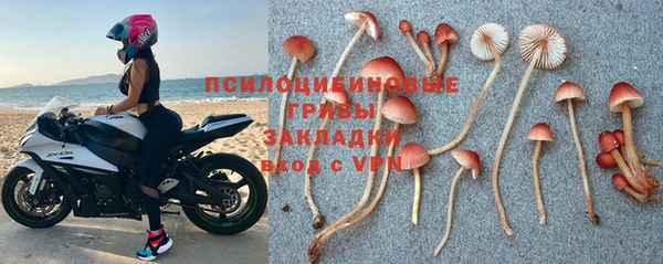 mdpv Новокубанск
