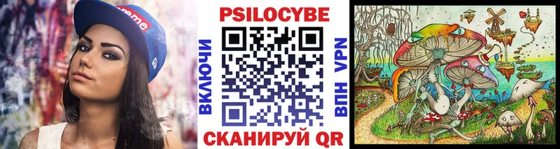 Псилоцибиновые грибы Cubensis  сколько стоит  Кропоткин 